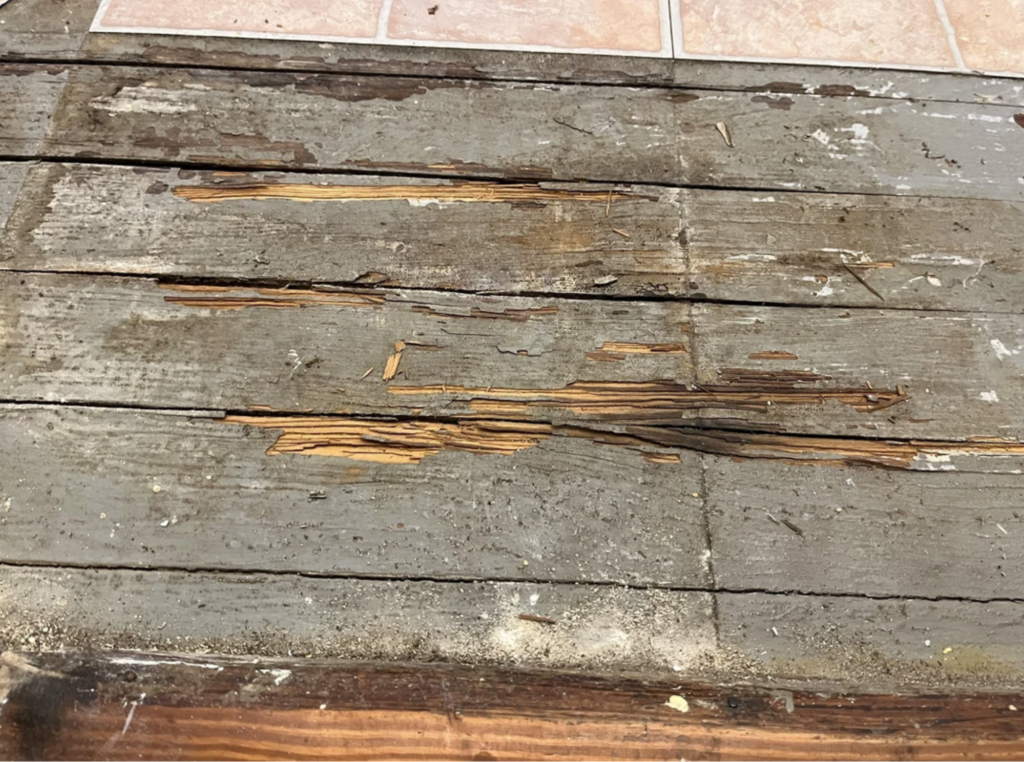 Old hardwood flooring with chips and damaged paint.