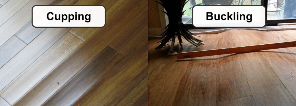 Wood flooring cupping v. buckling.
